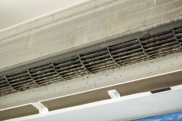 Best Affordable Air Duct Cleaning  in Jones, OK